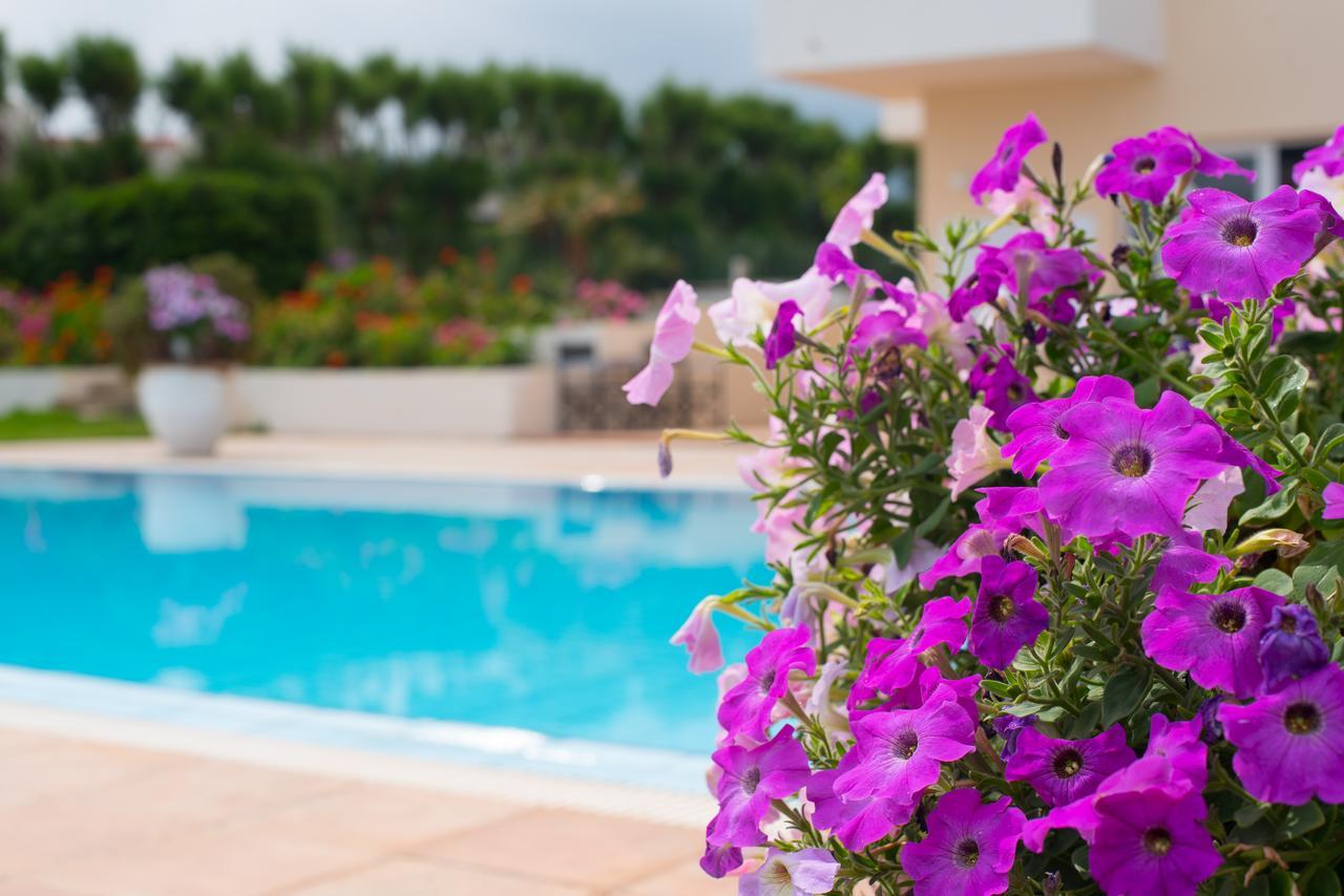 Silver Sun Studios & Apartments Малиа Экстерьер фото
